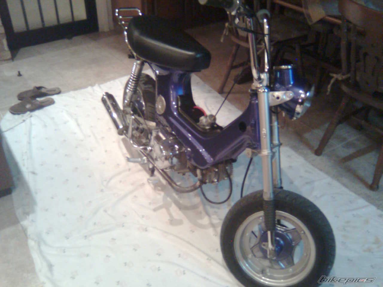 Photo 1577519