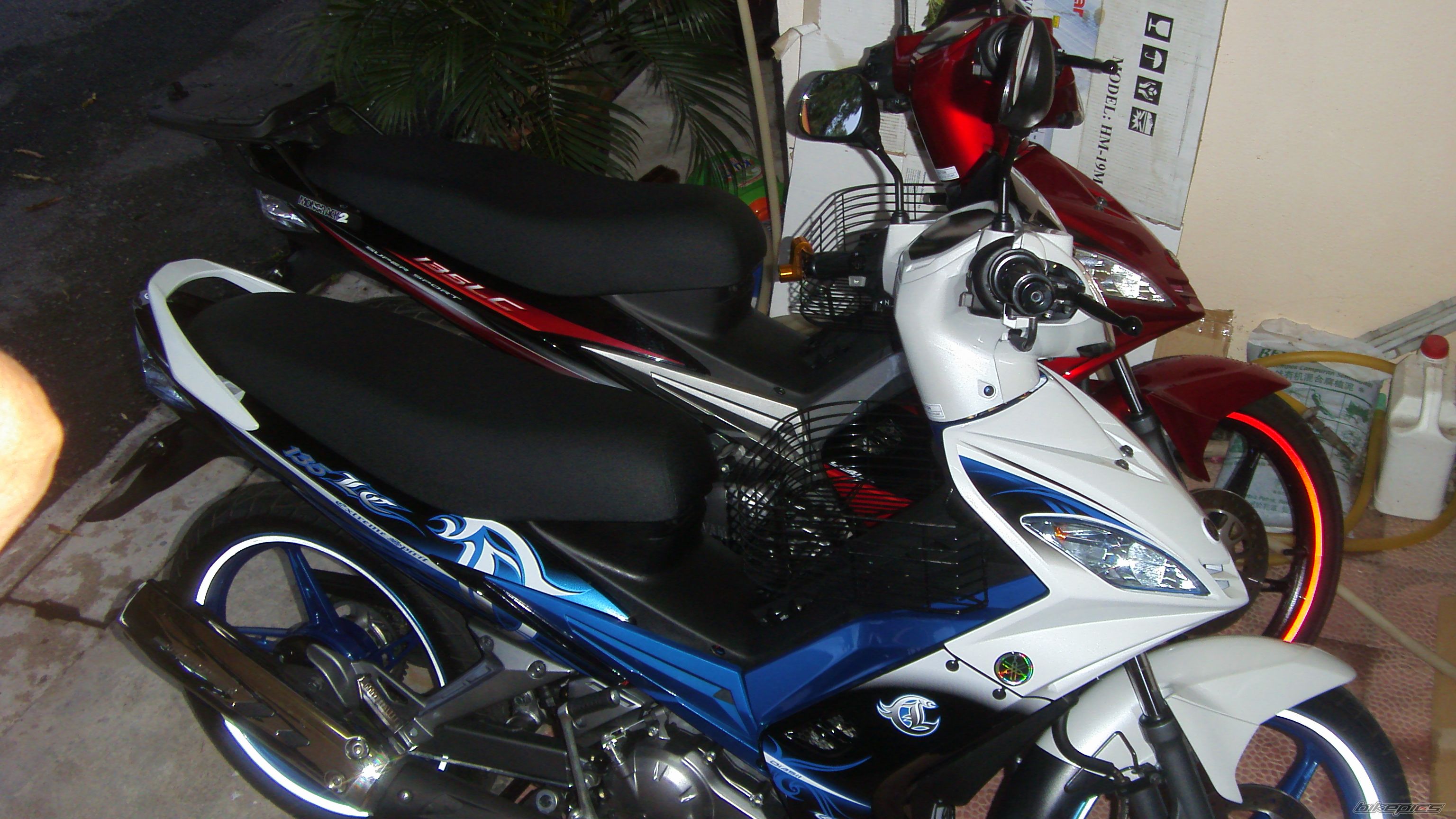 Photo 1577549