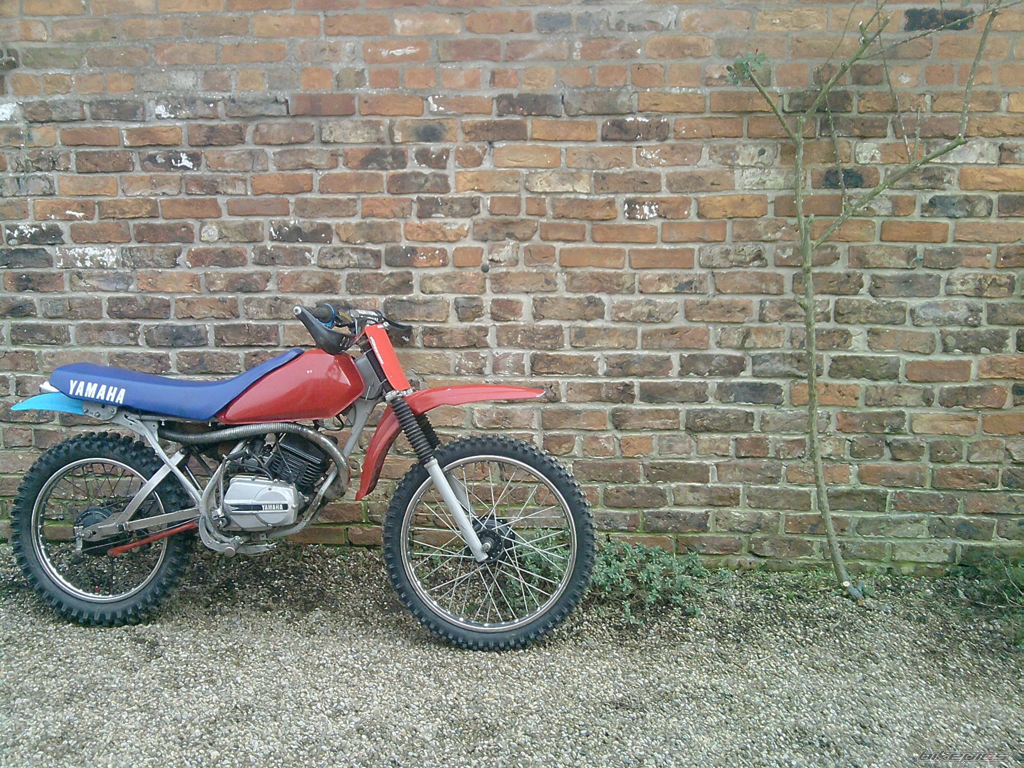 Photo 1577629