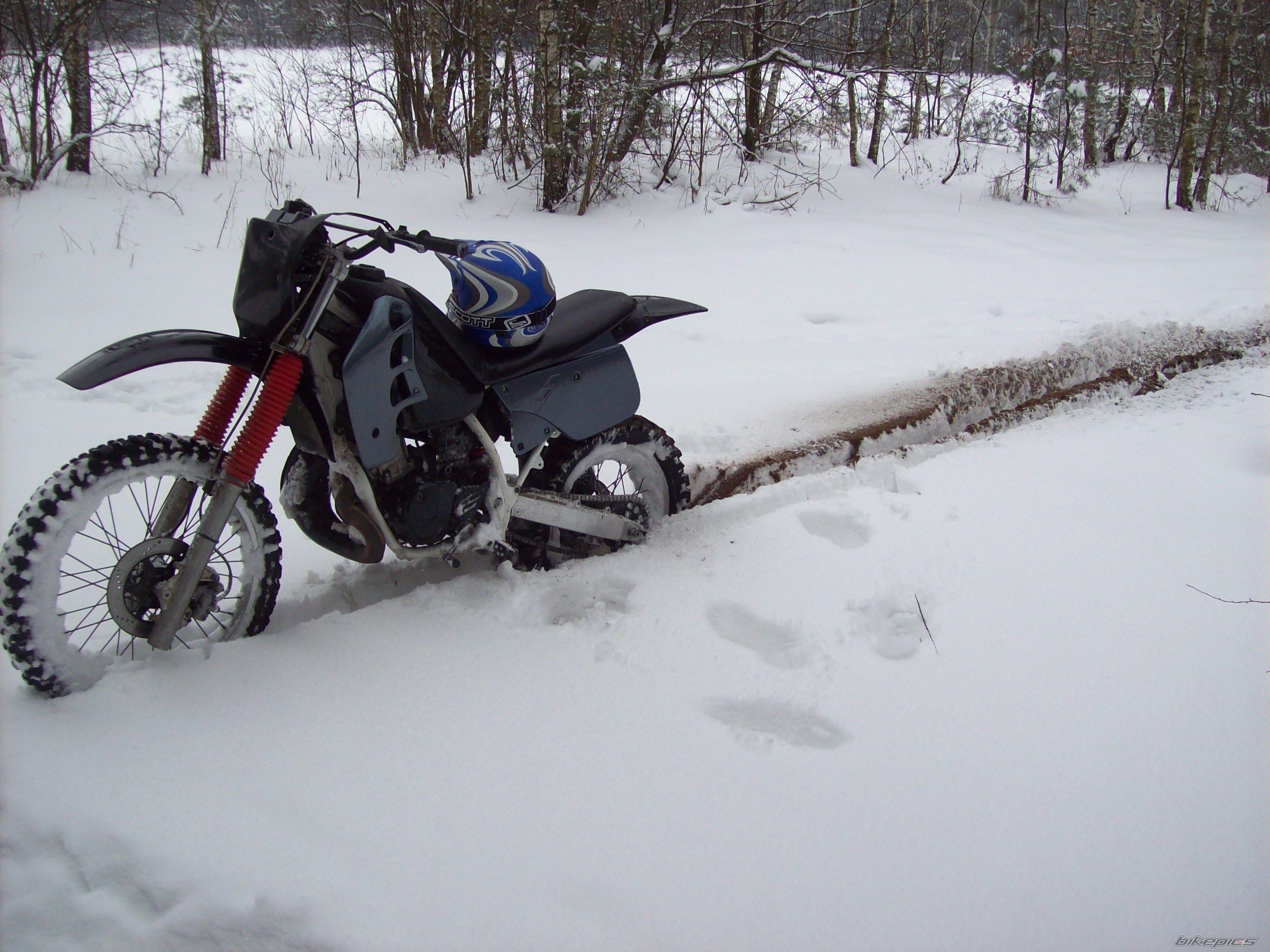 Photo 1577680
