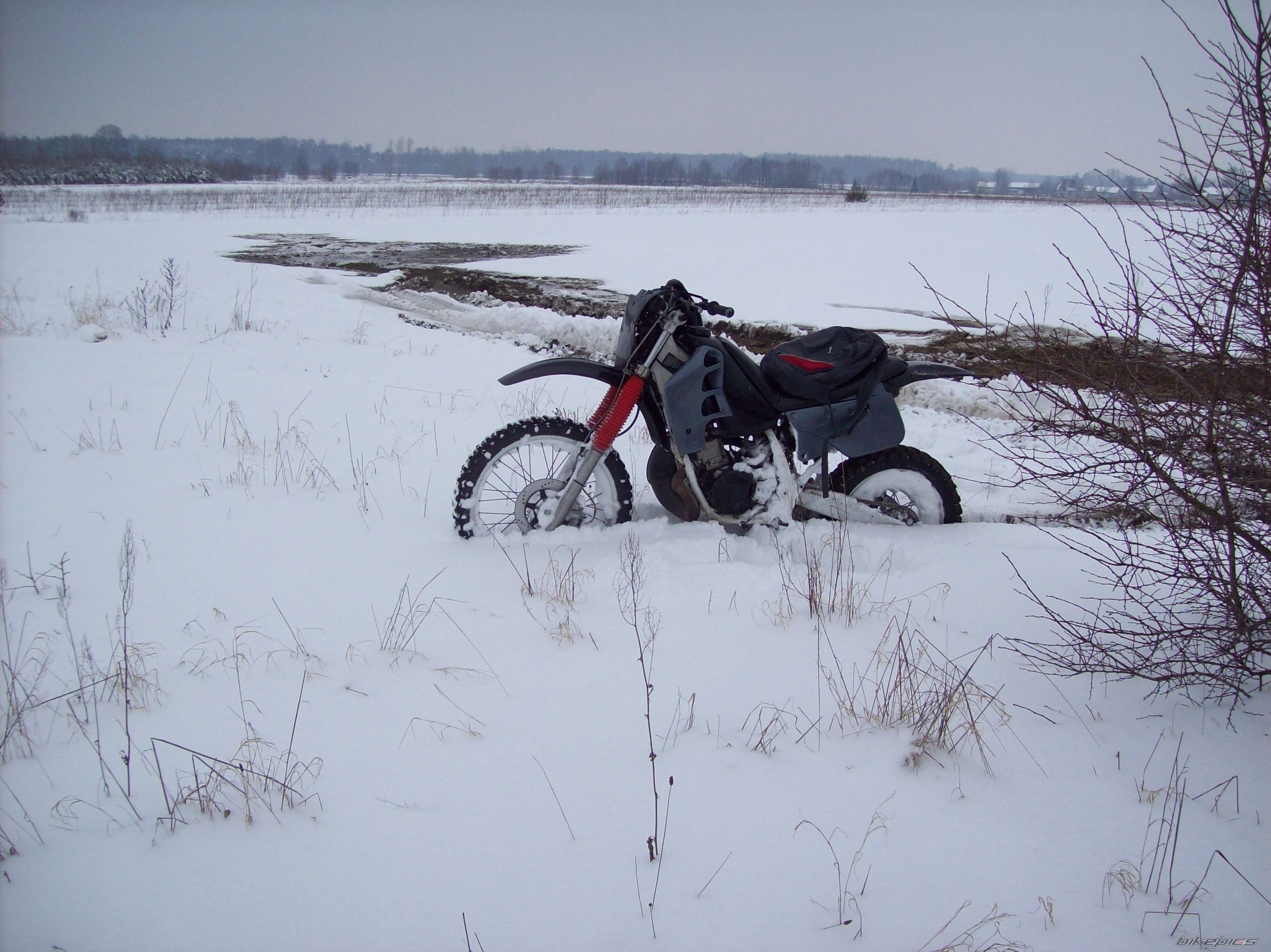 Photo 1577684