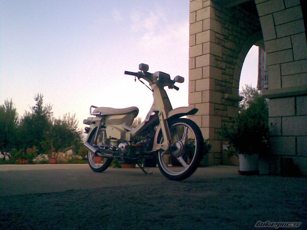 Photo 1577831