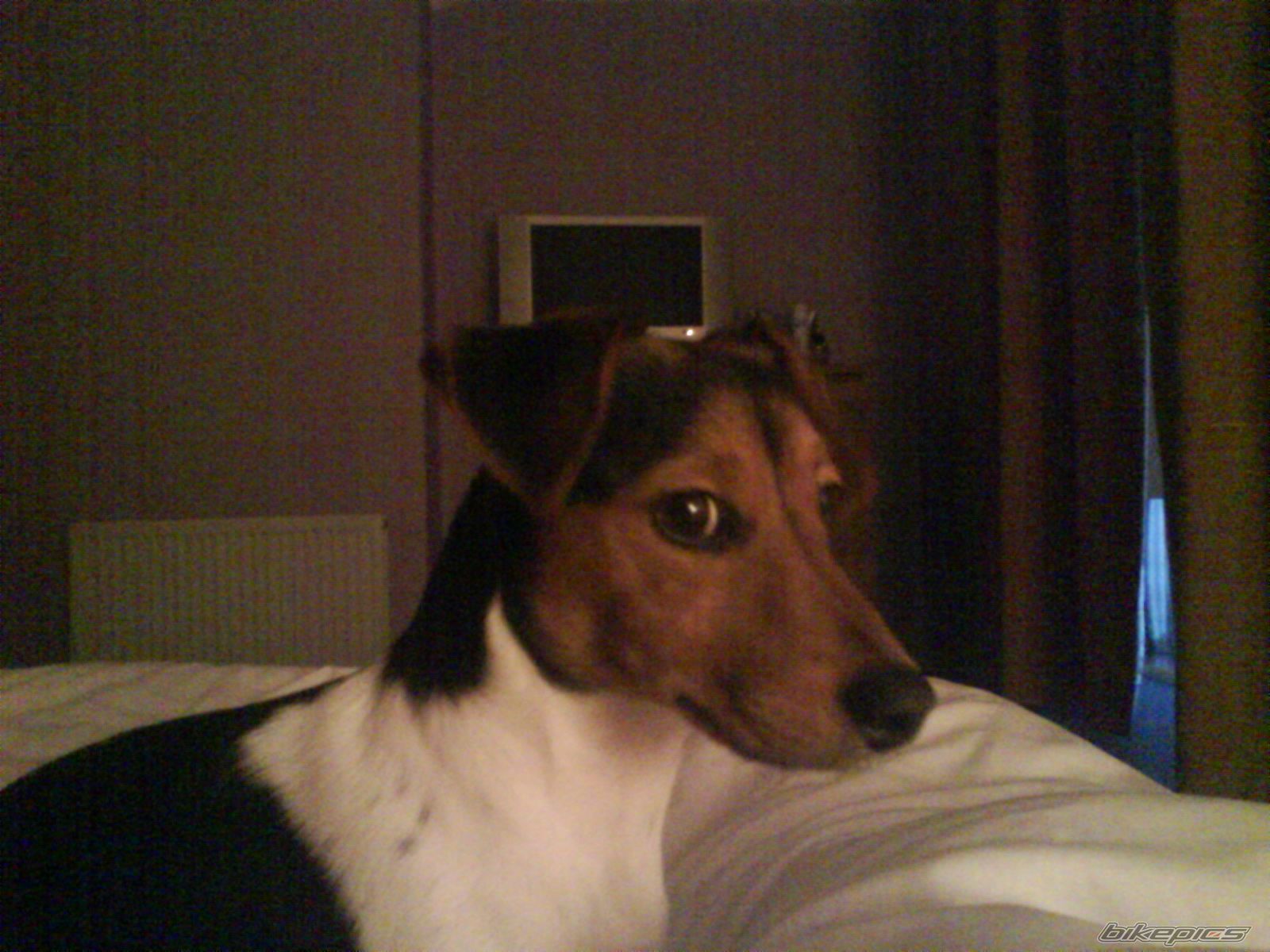 Photo 1577877