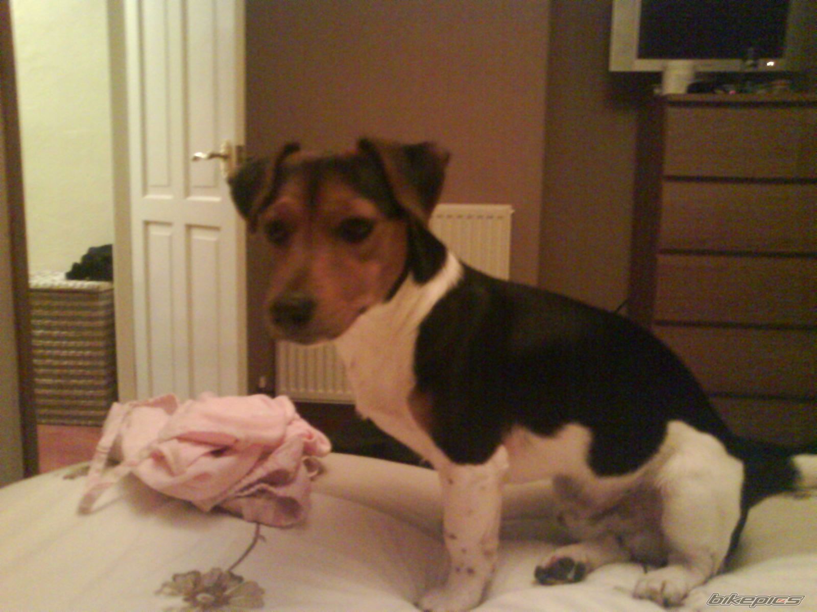 Photo 1577888