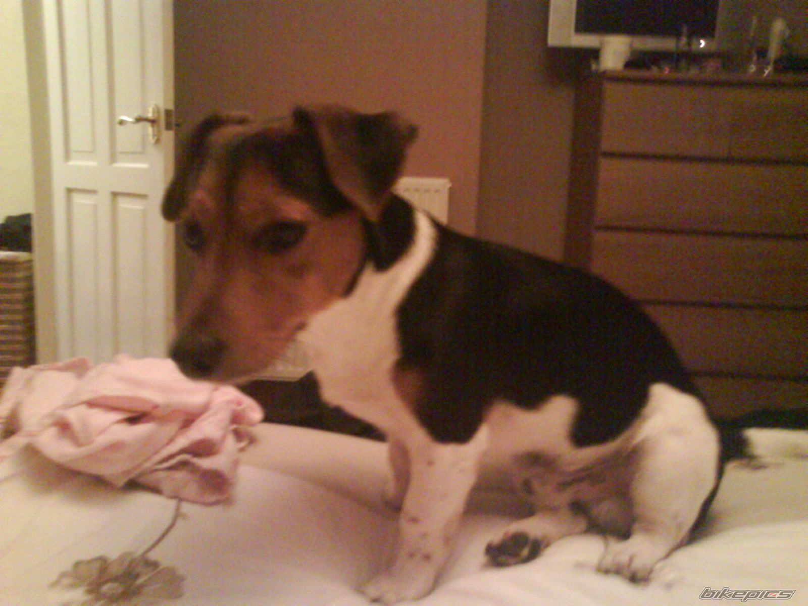 Photo 1577891
