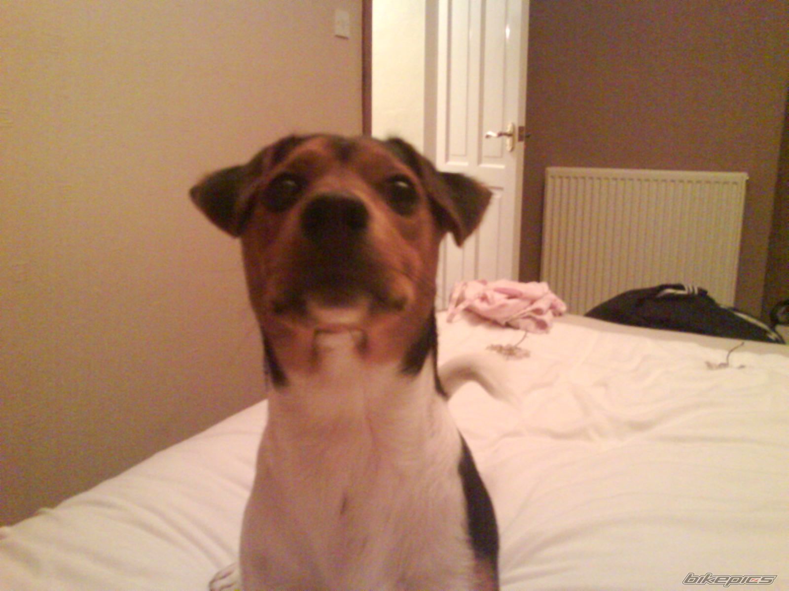 Photo 1577894