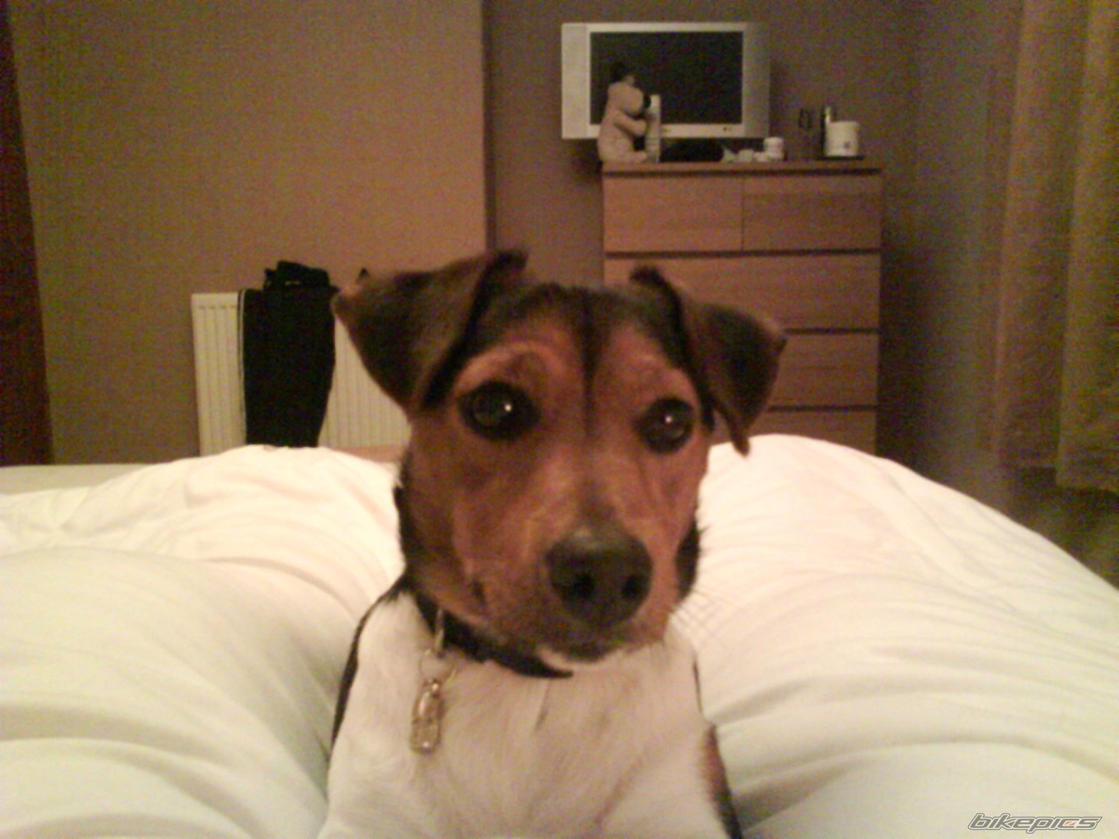 Photo 1577915