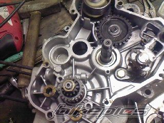 Photo 1577973