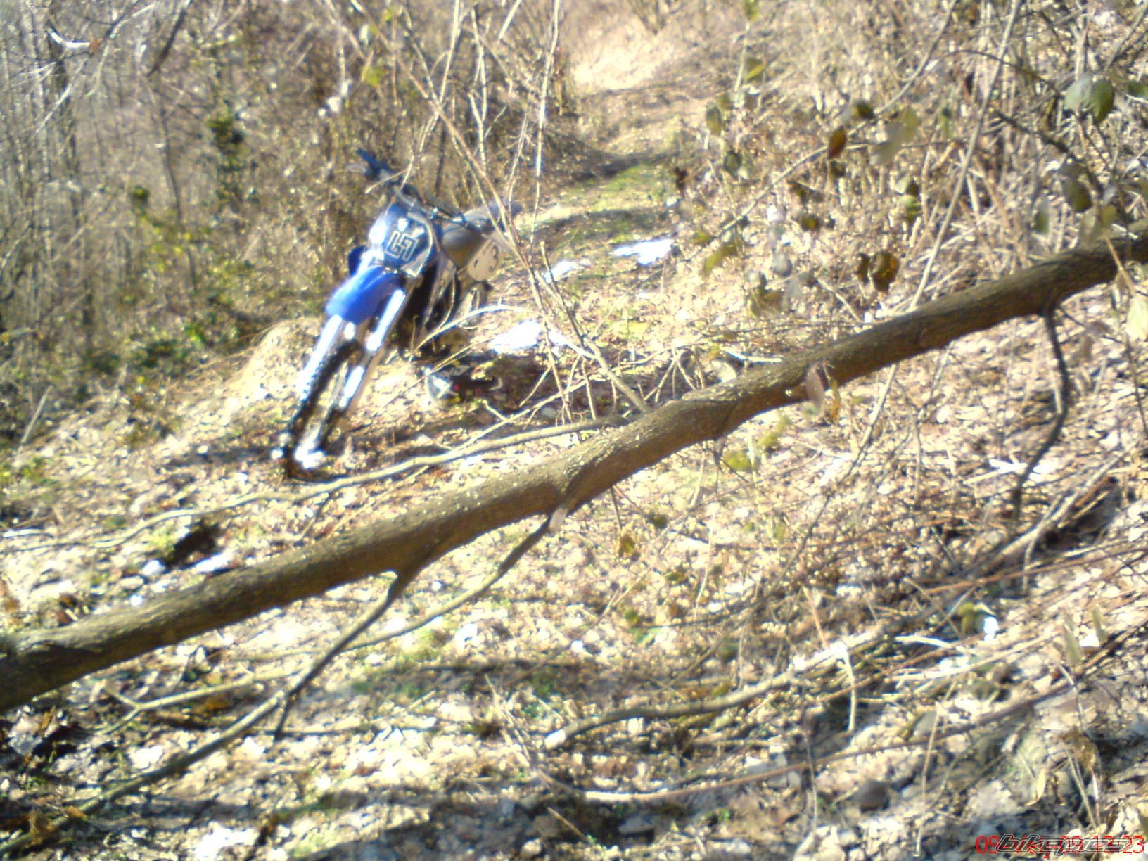 Photo 1577987
