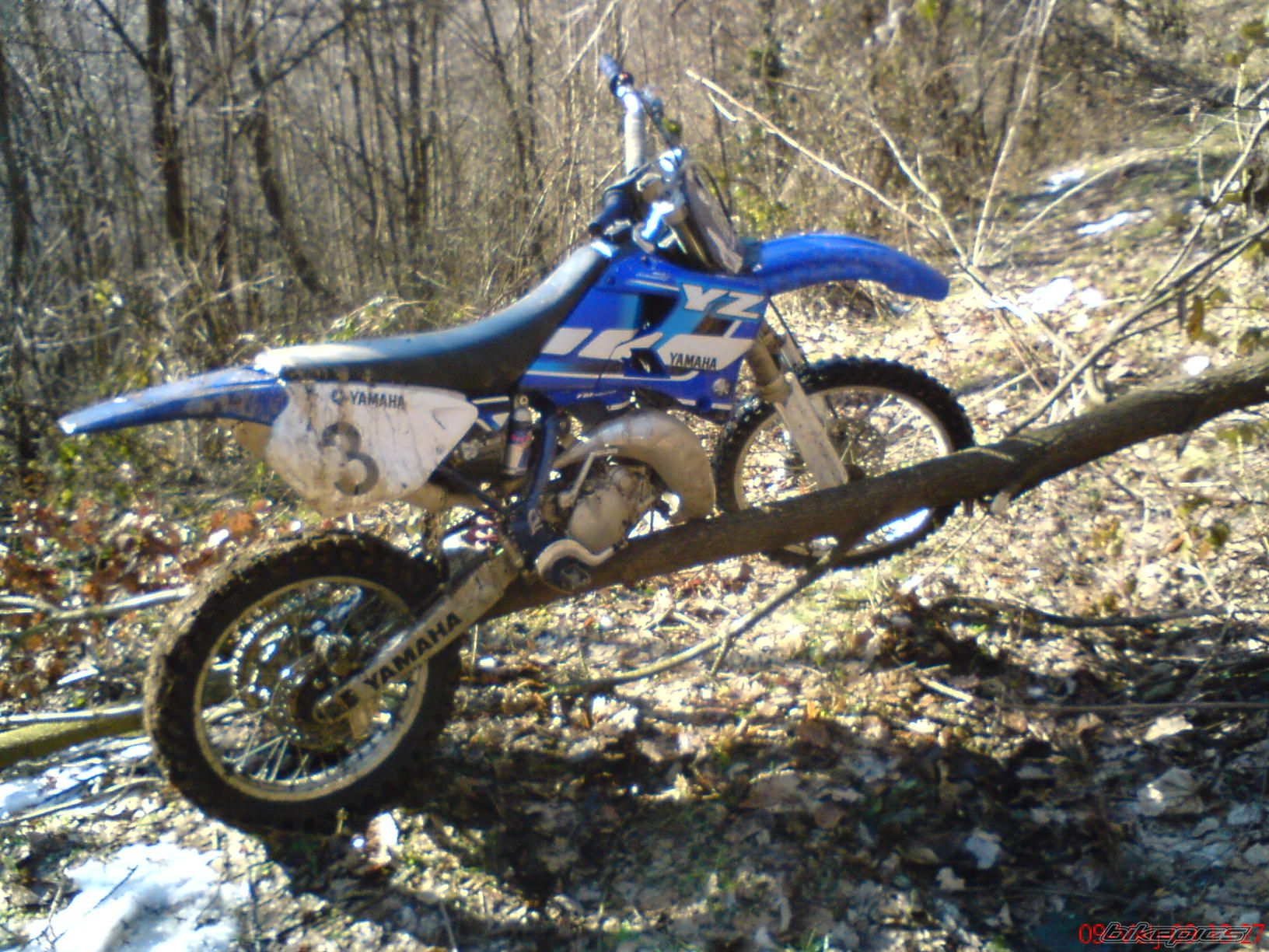 Photo 1577989