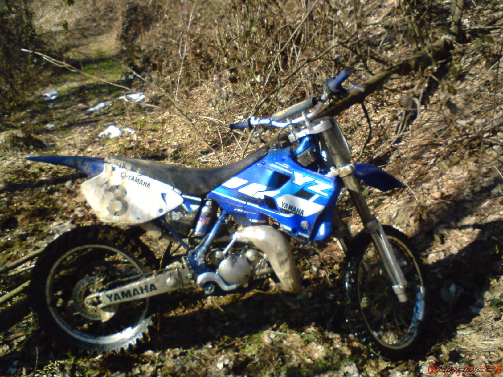 Photo 1577991