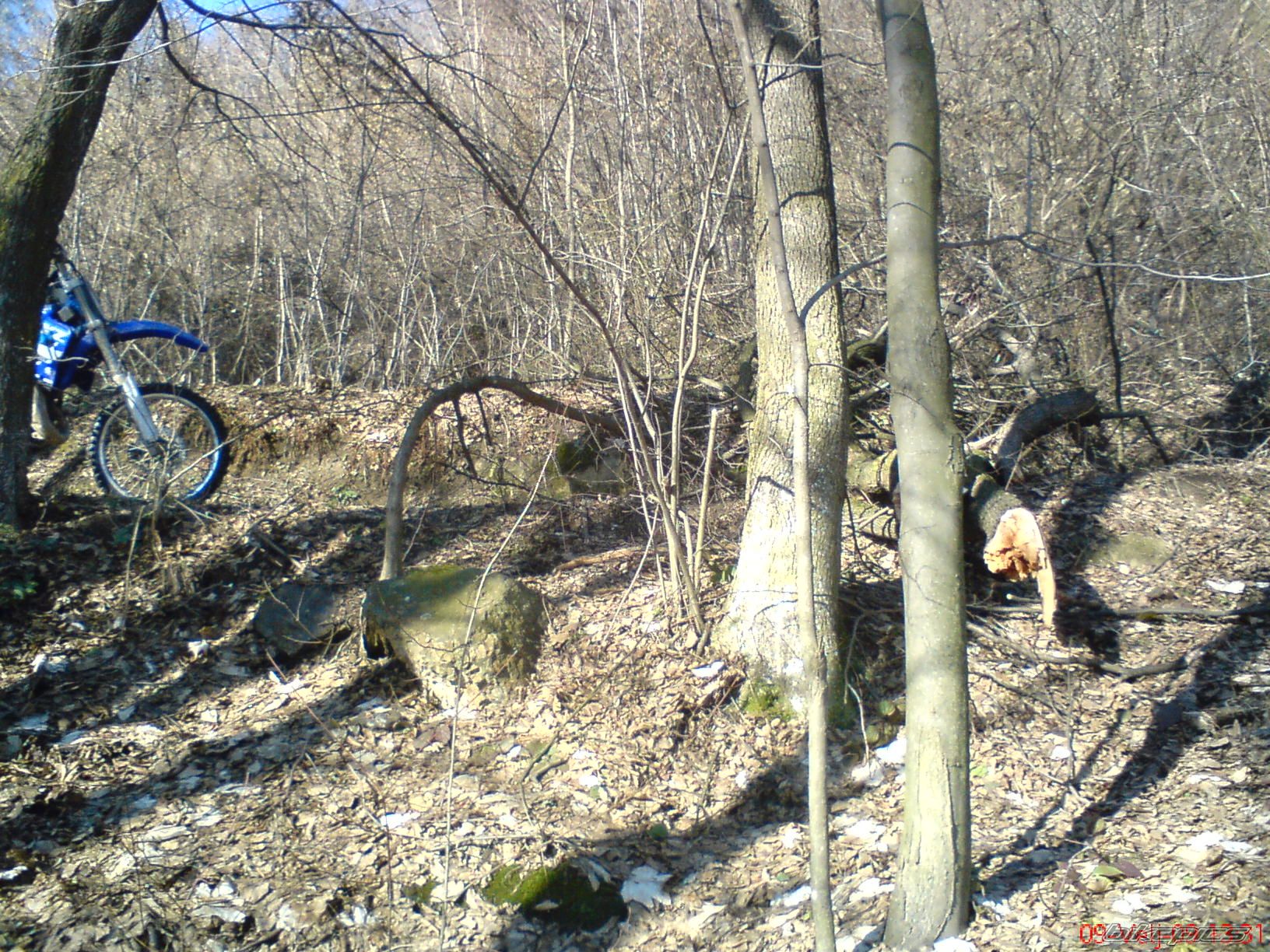 Photo 1577994