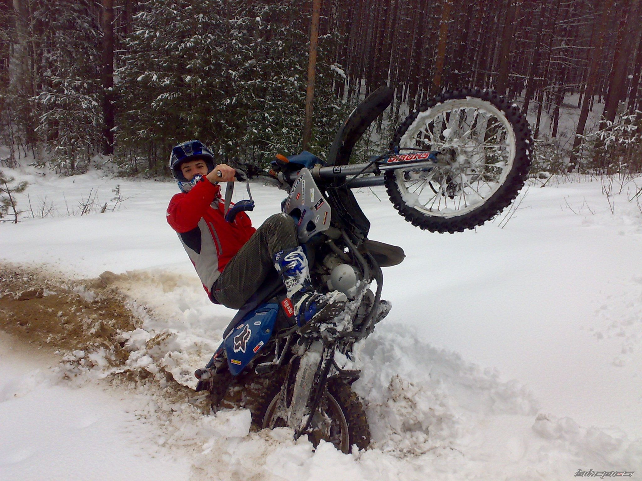 Photo 1578018