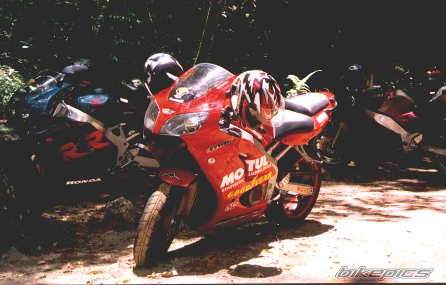Photo 15781