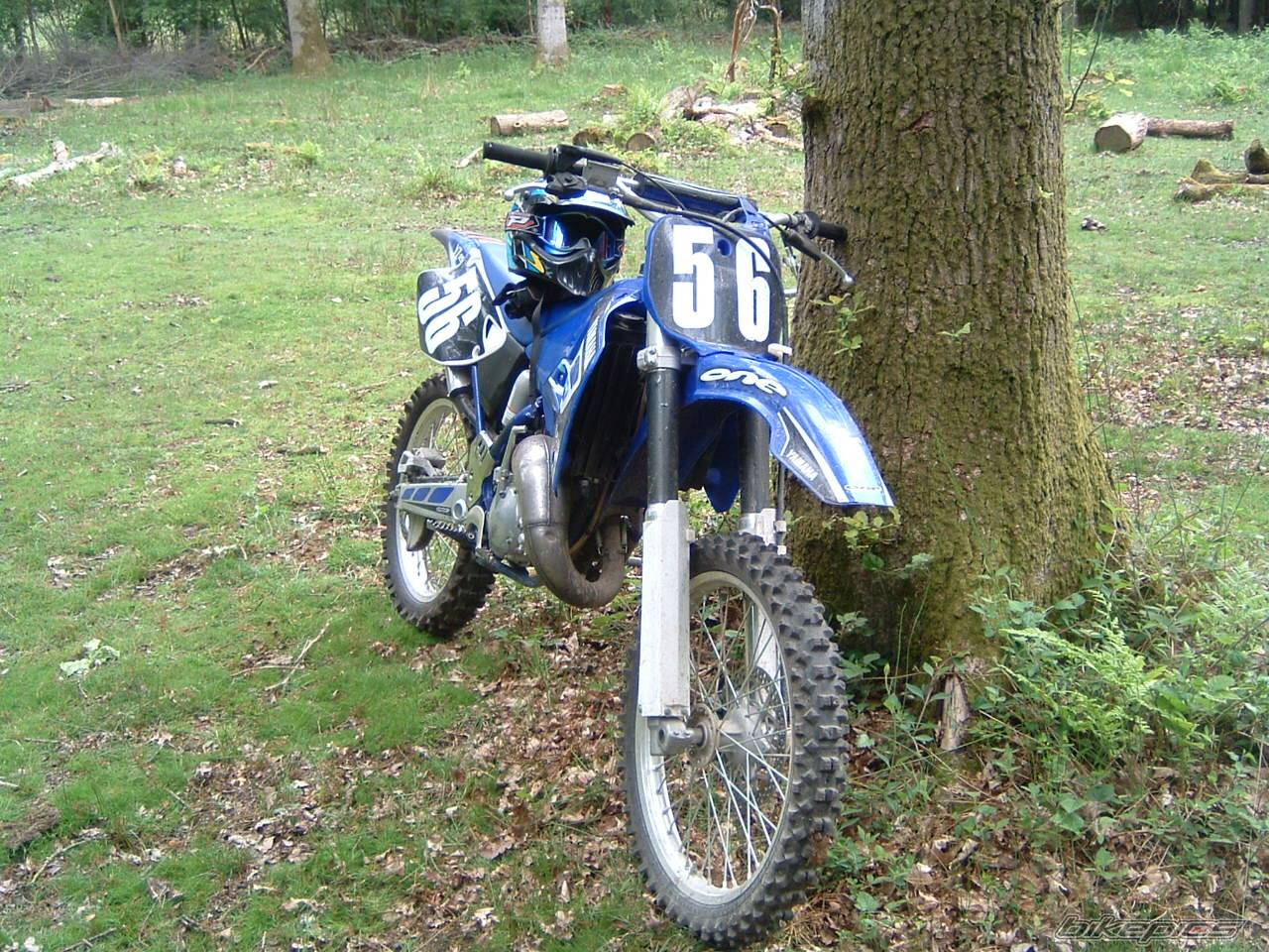 Photo 157841