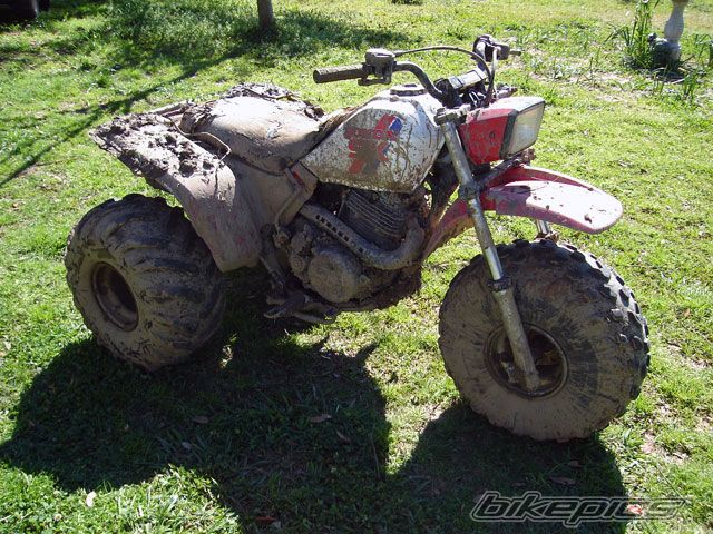 Photo 1578821
