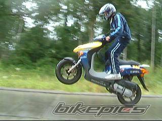 Photo 157892