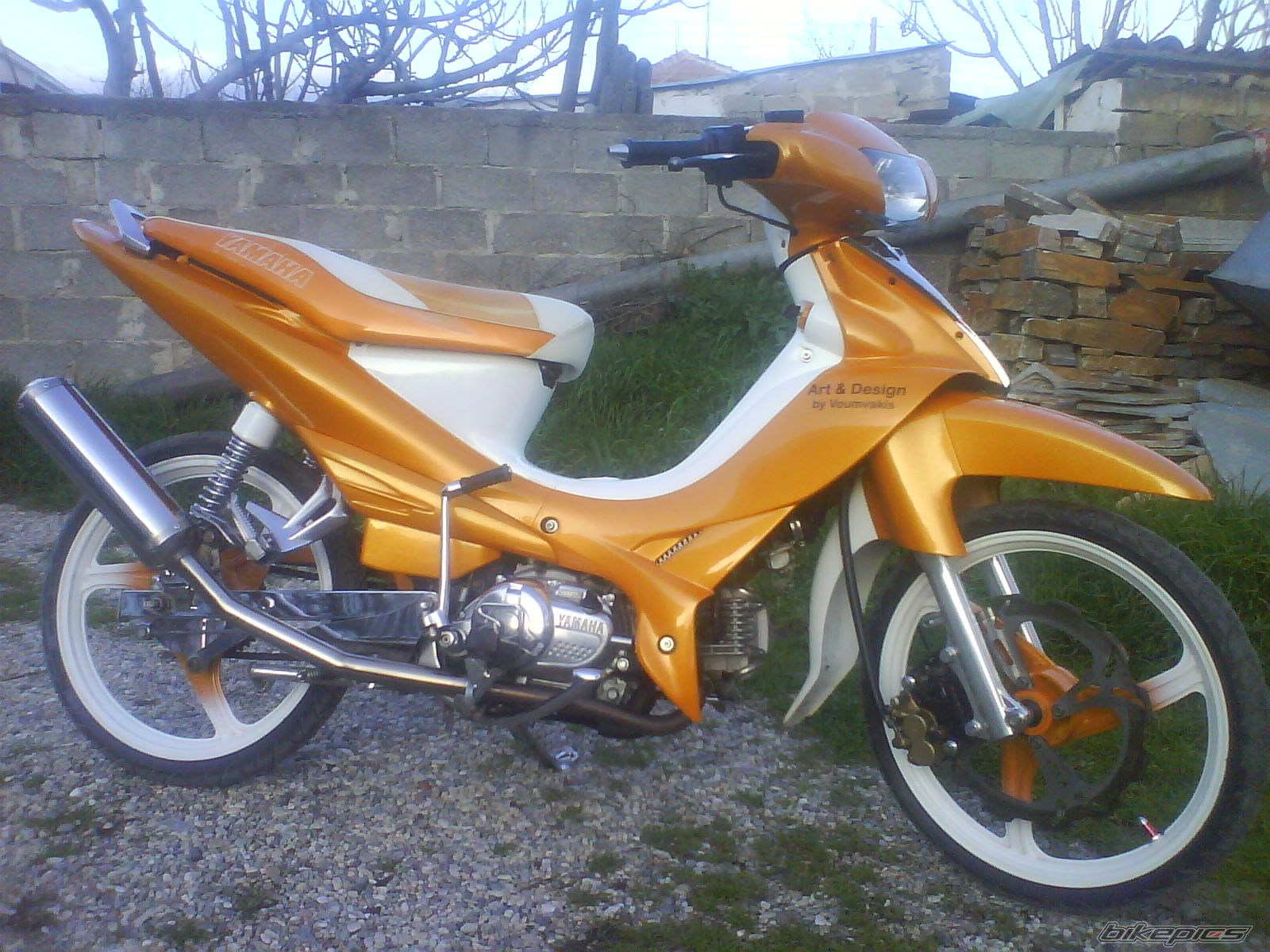 Photo 1579054