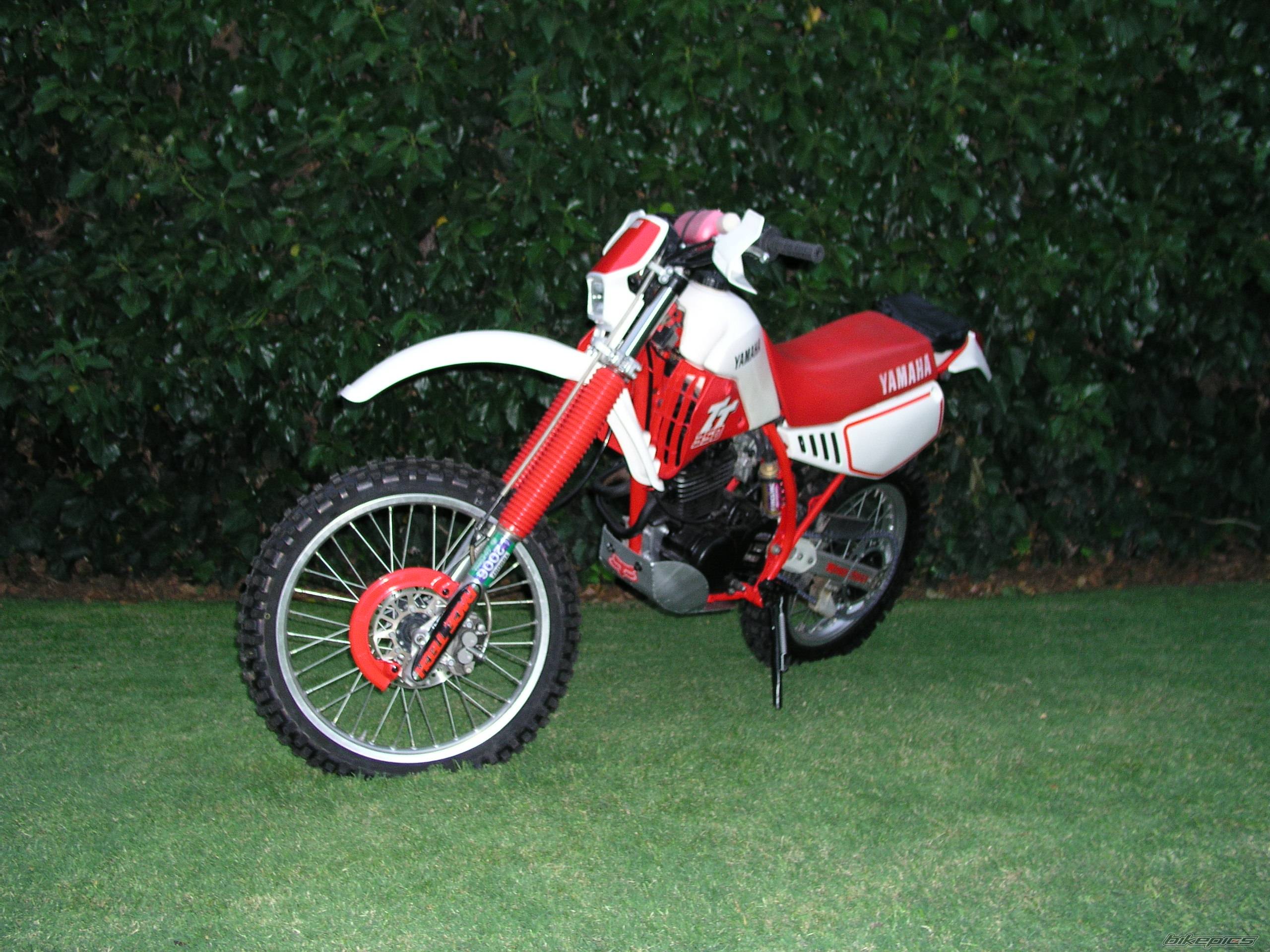 Photo 157917