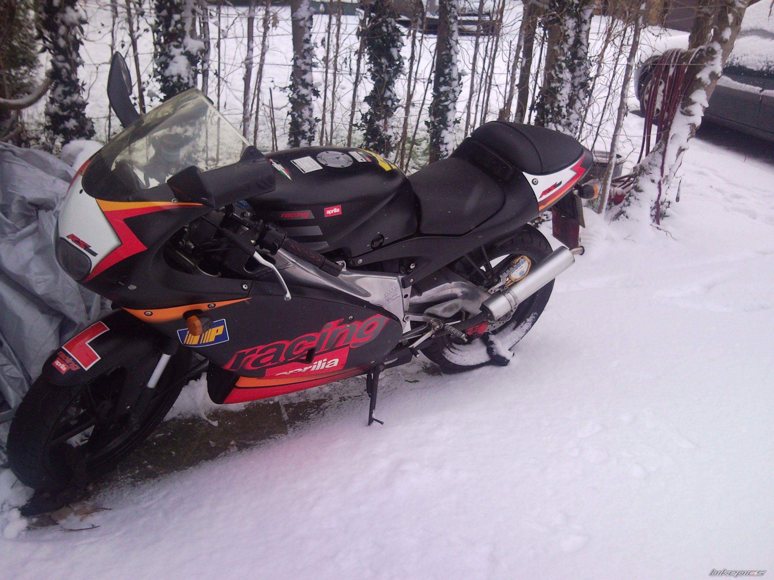 Photo 1579205