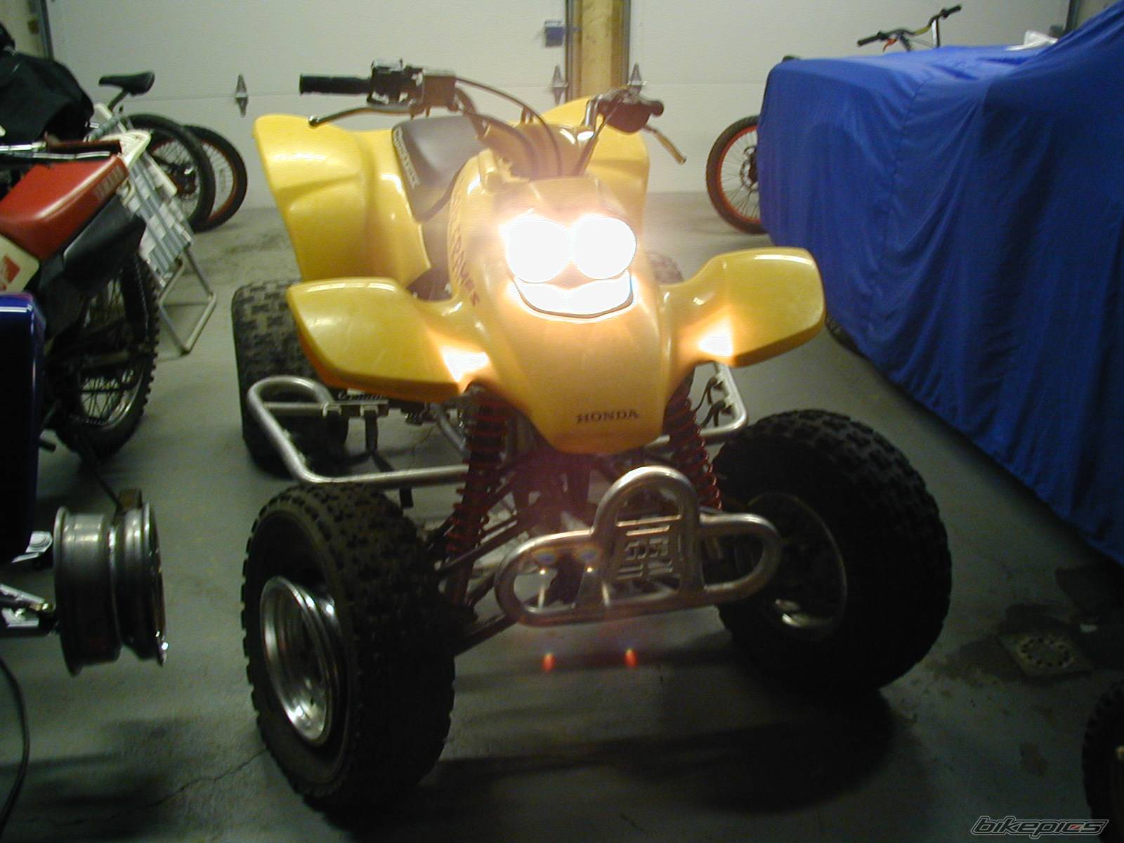 Photo 157931