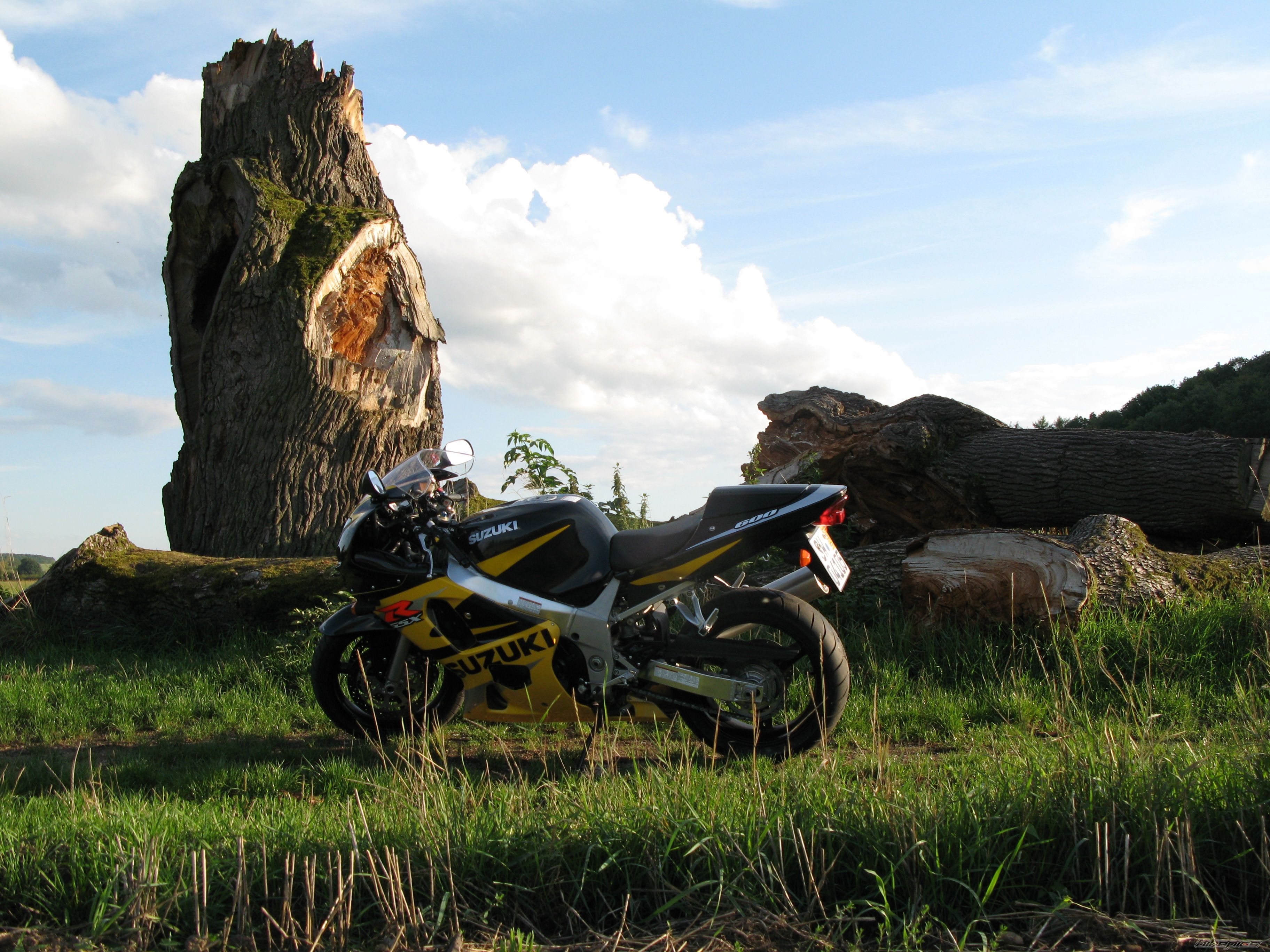 Bike Photo 1579518
