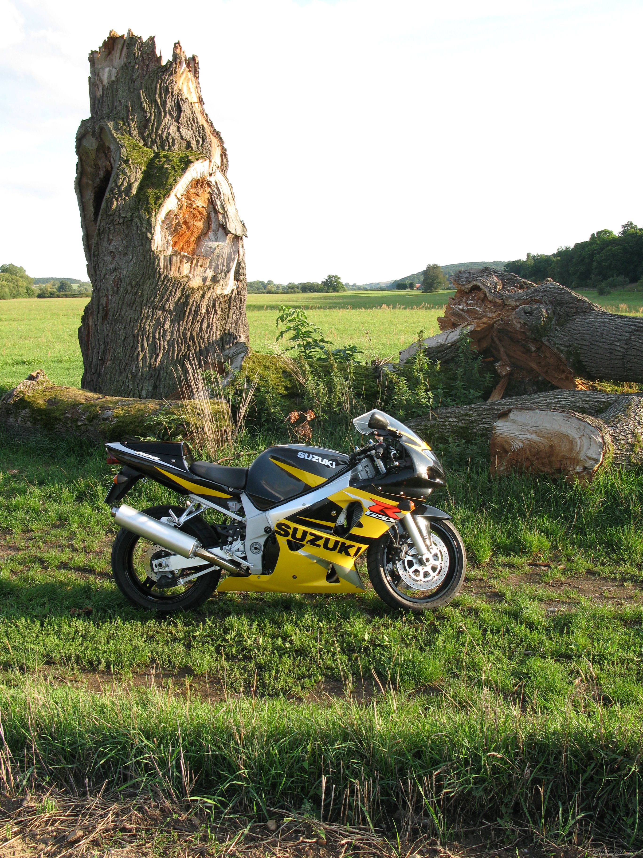 Bike Photo 1579519