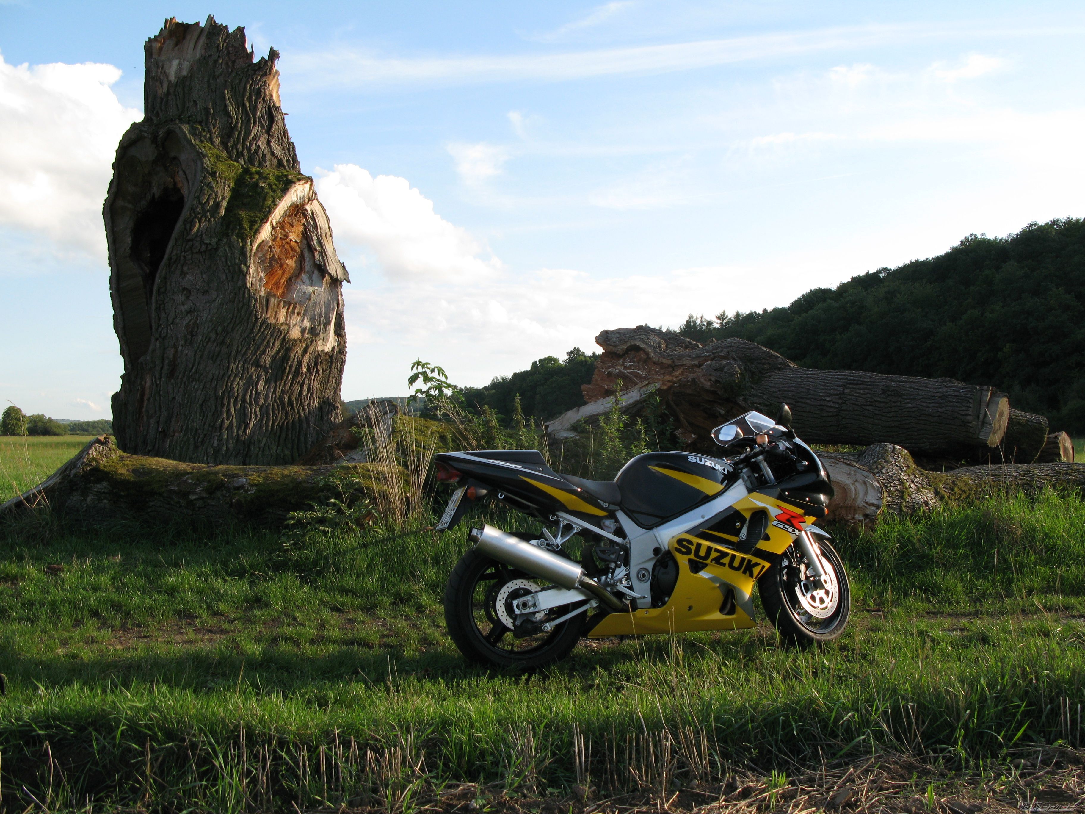 Bike Photo 1579521