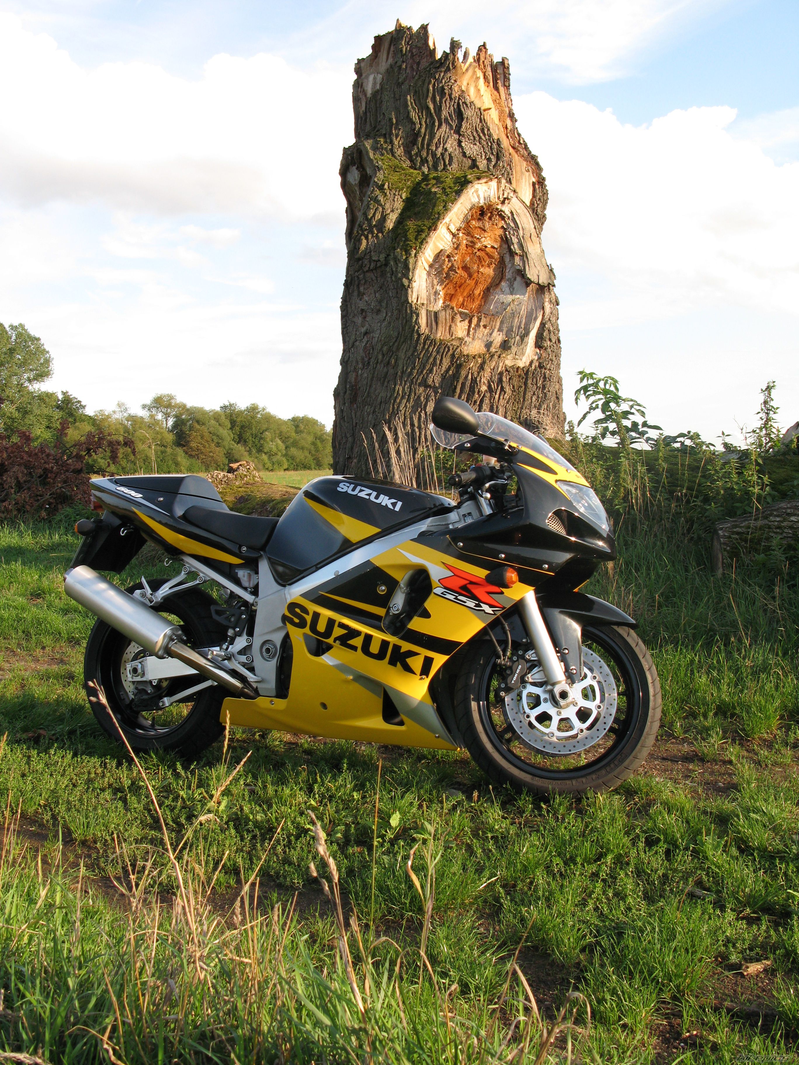 Bike Photo 1579524