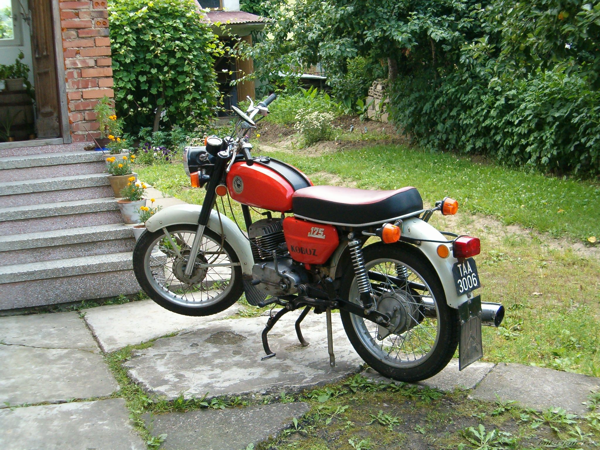 Photo 1579646