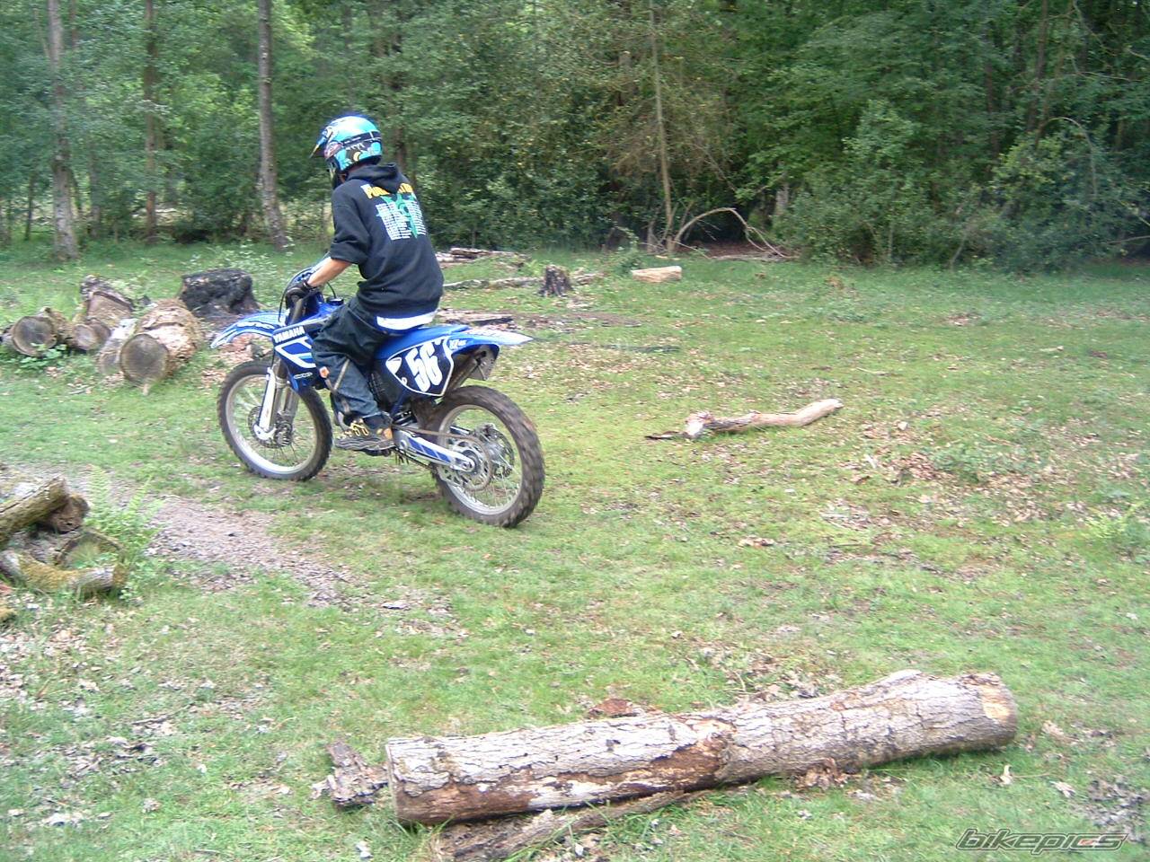 Photo 157986