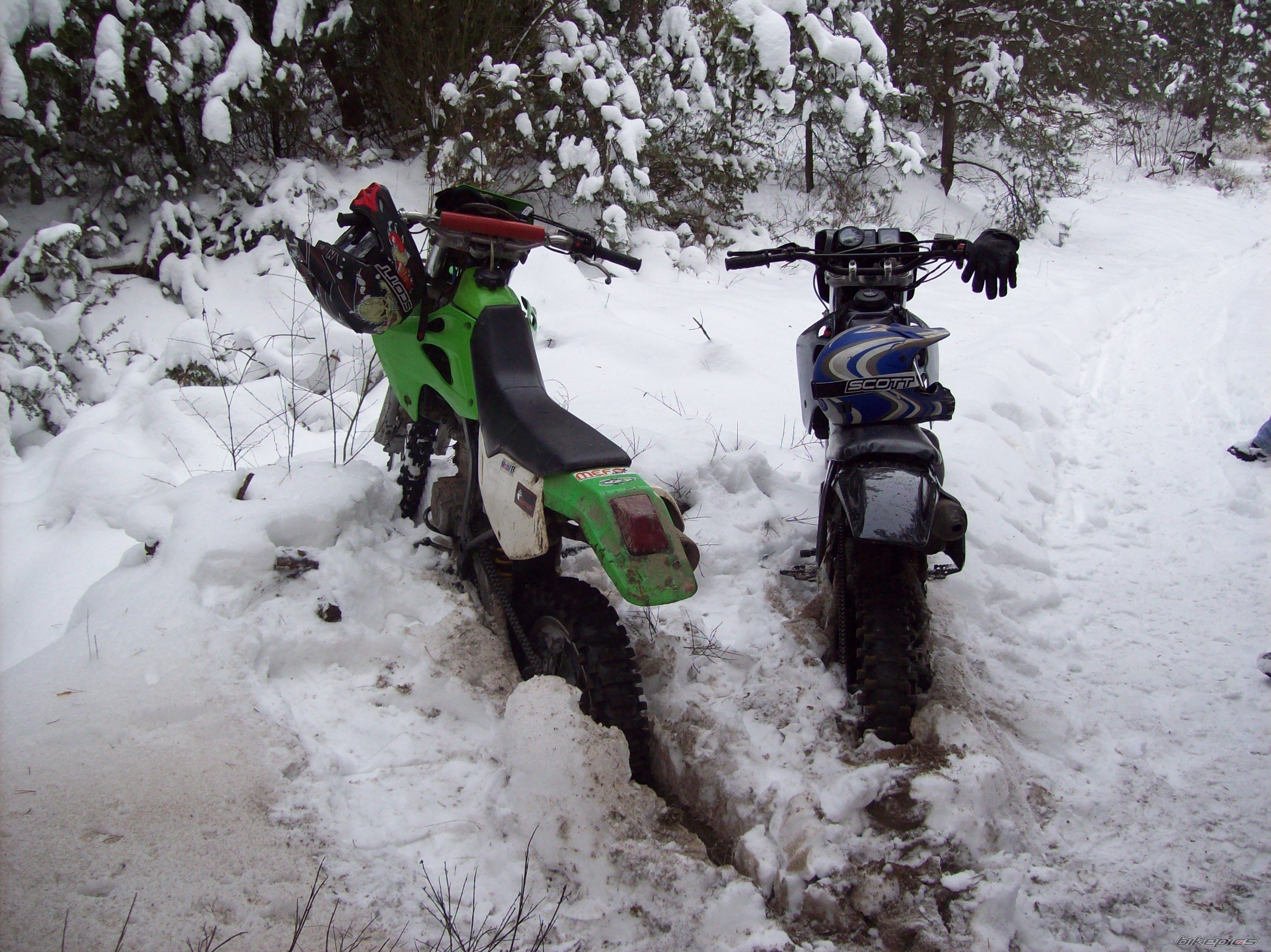 Photo 1579866