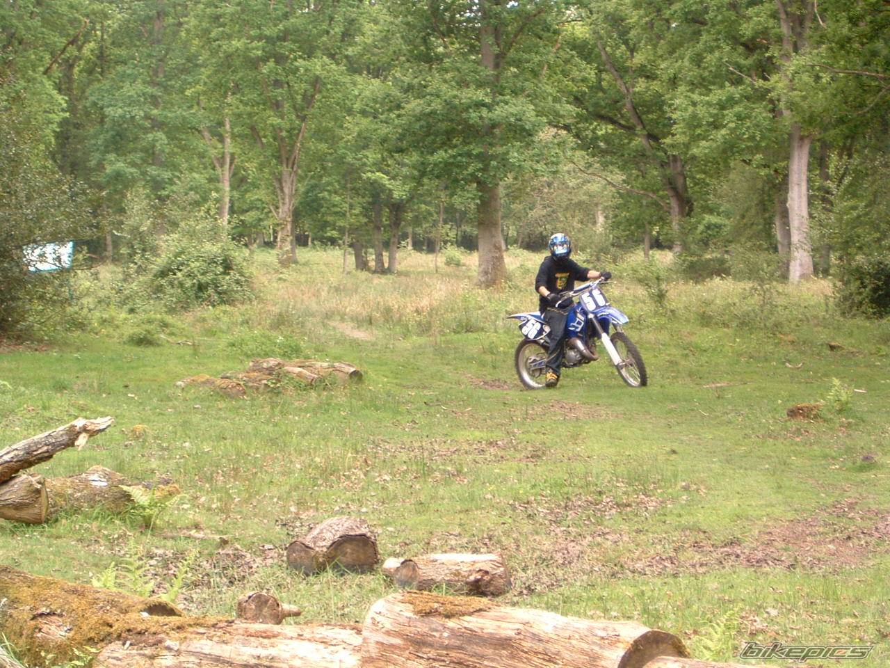 Photo 157987