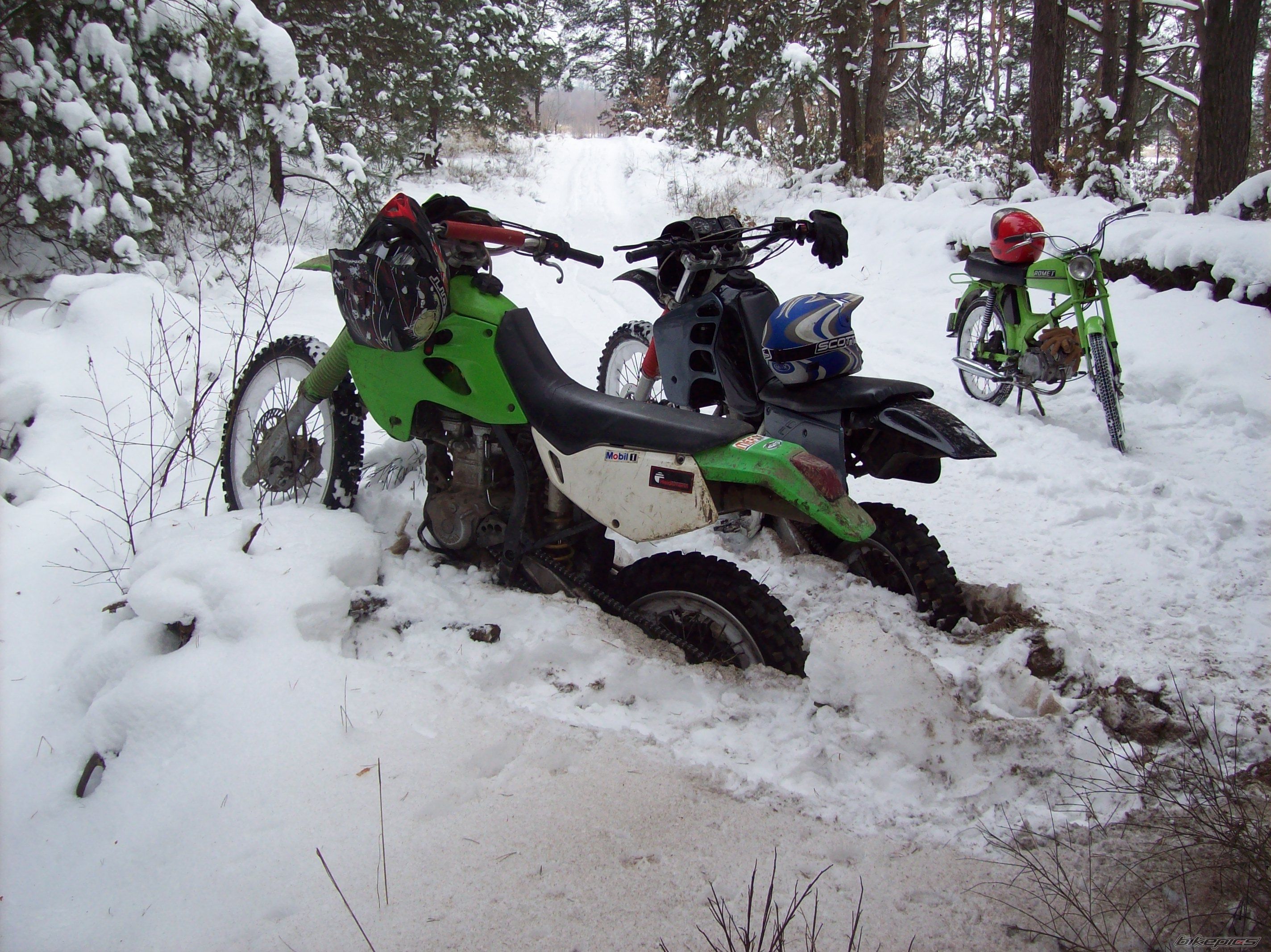 Photo 1579870