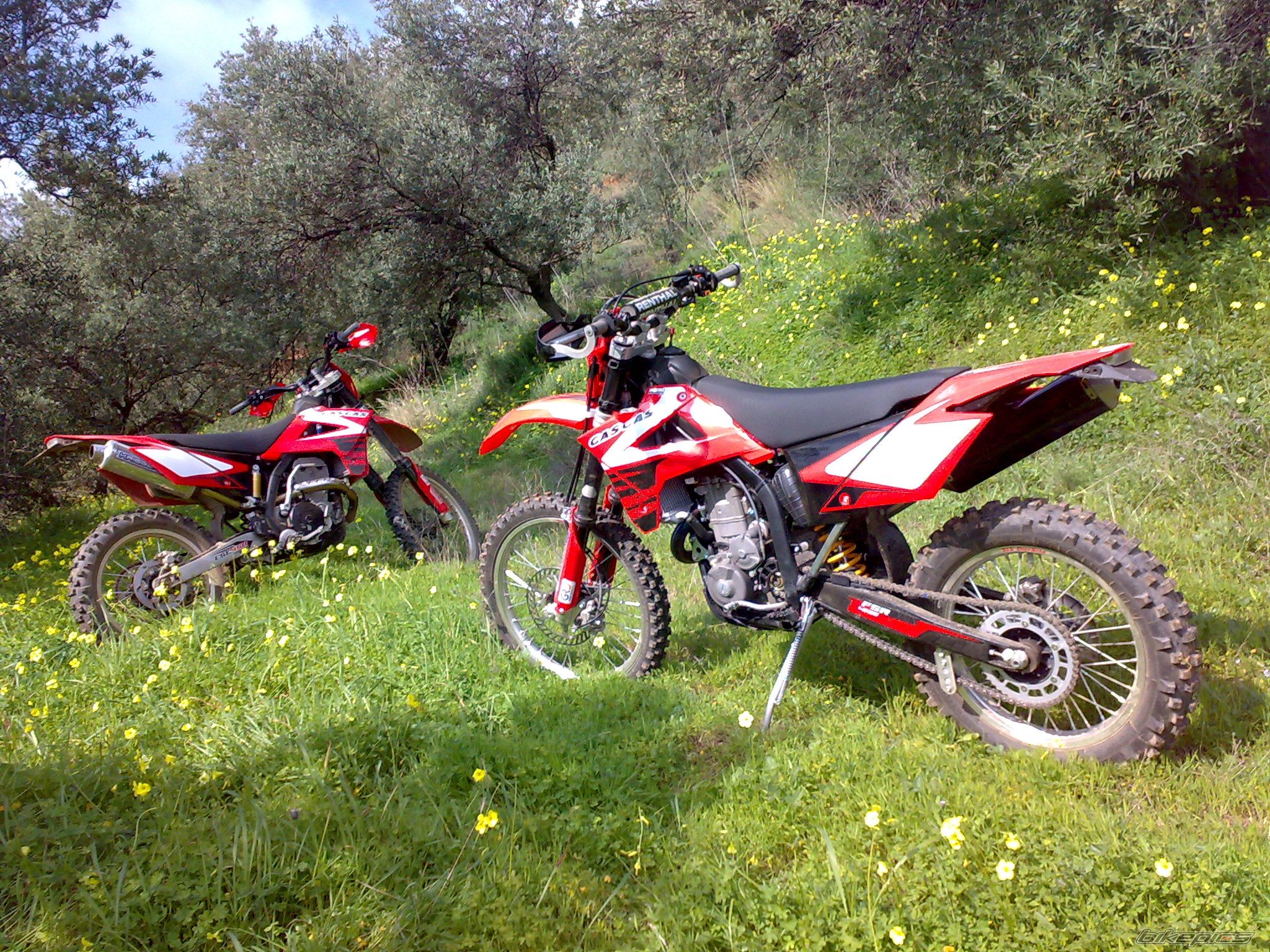 Photo 1579884