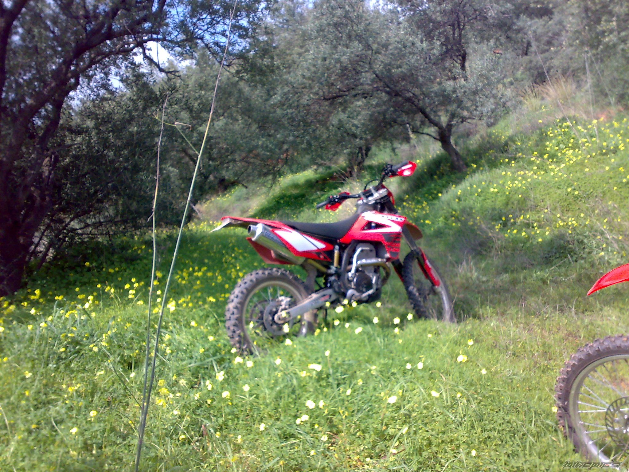 Photo 1579886