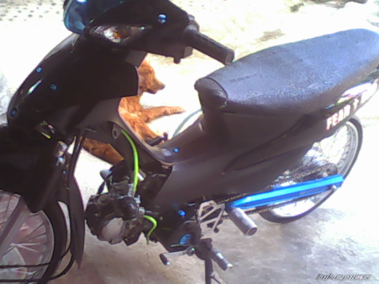 Bike Photo 1579922