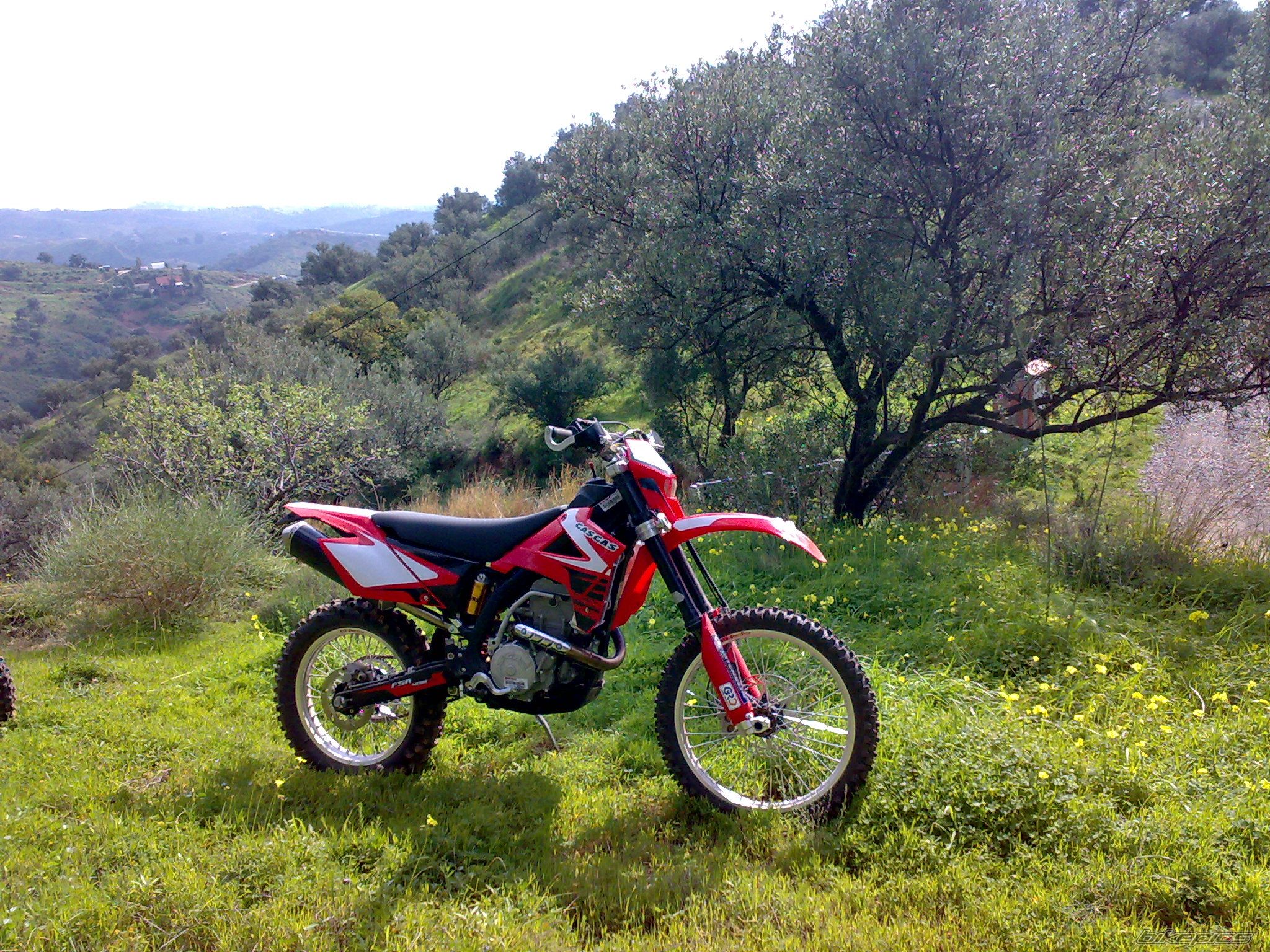 Photo 1579933