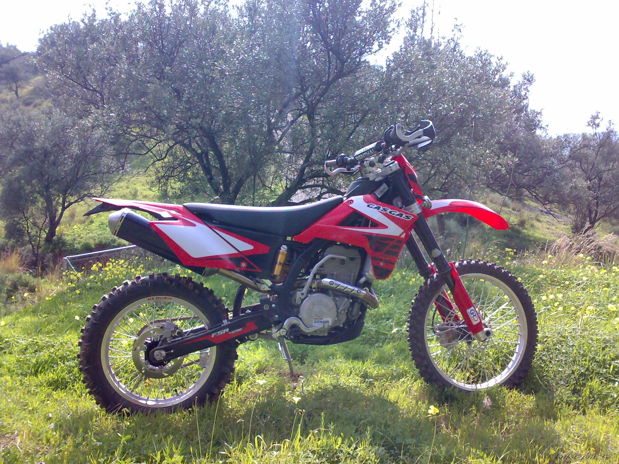 Photo 1579938