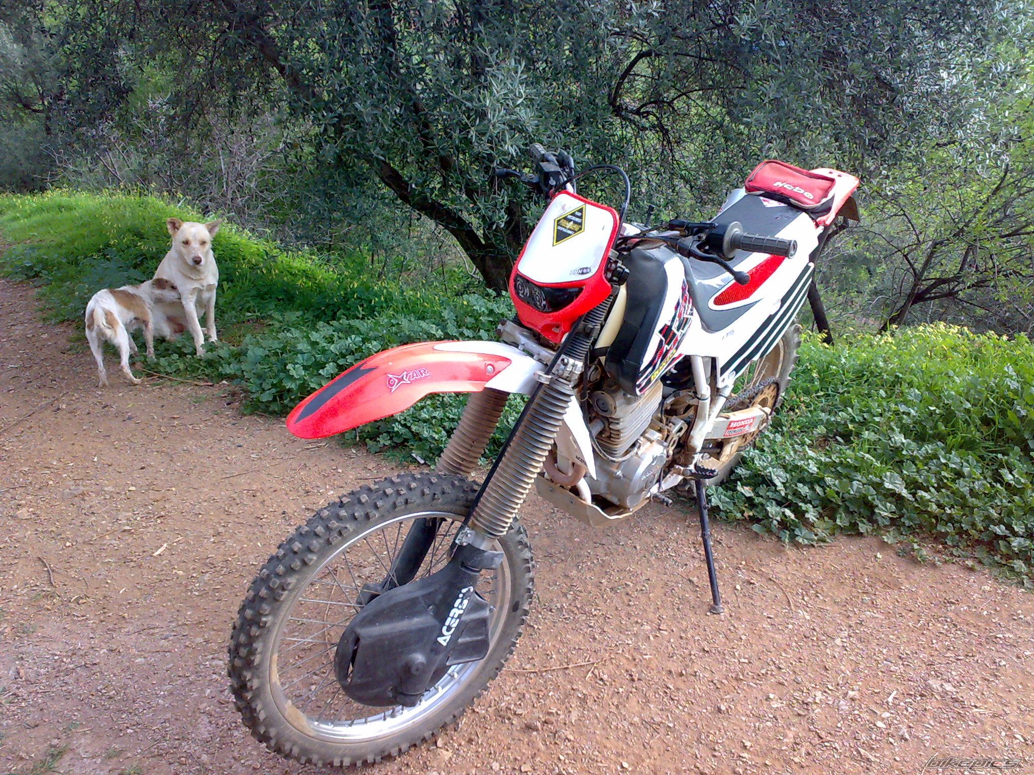 Photo 1579985