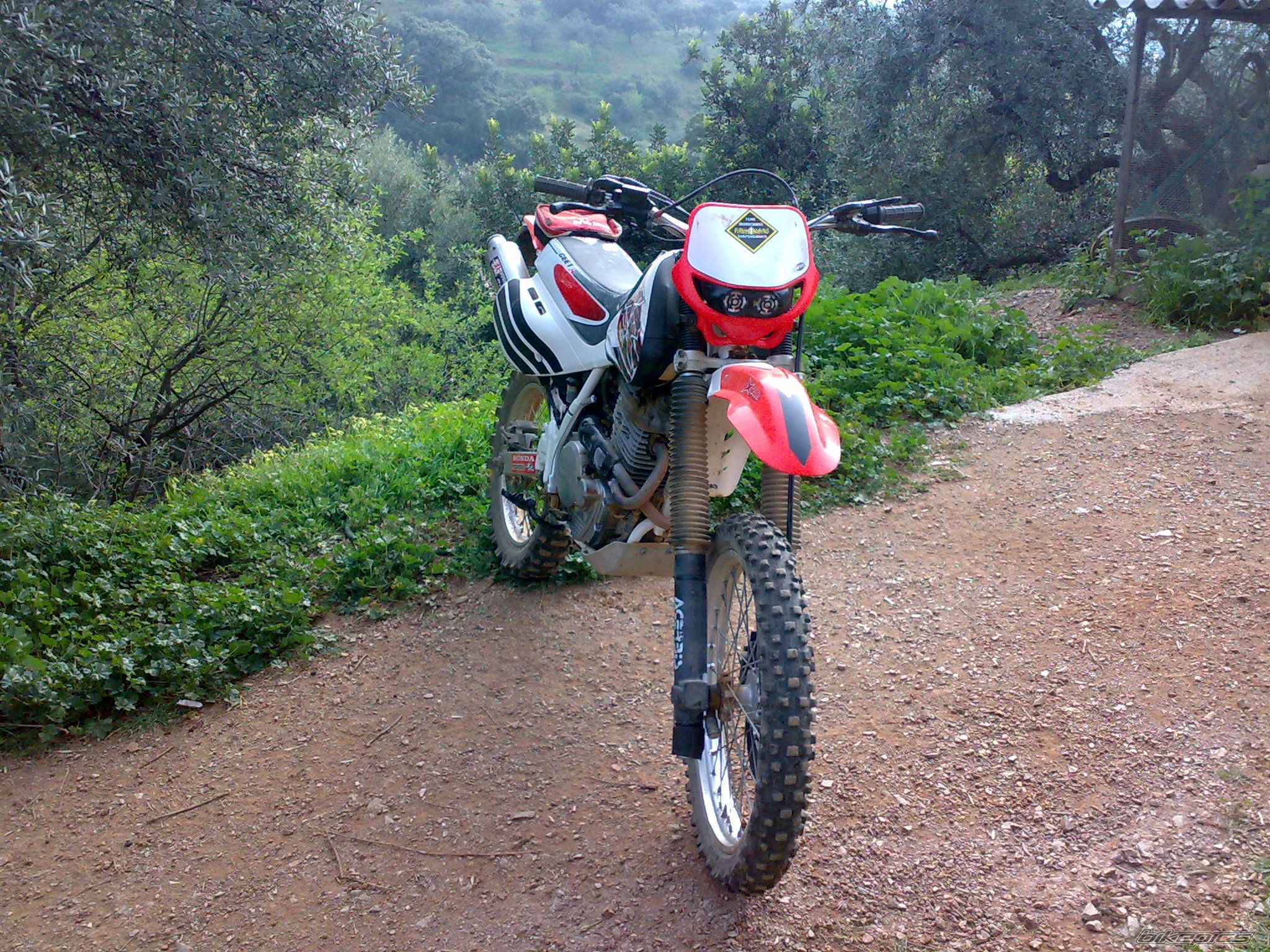 Photo 1579987