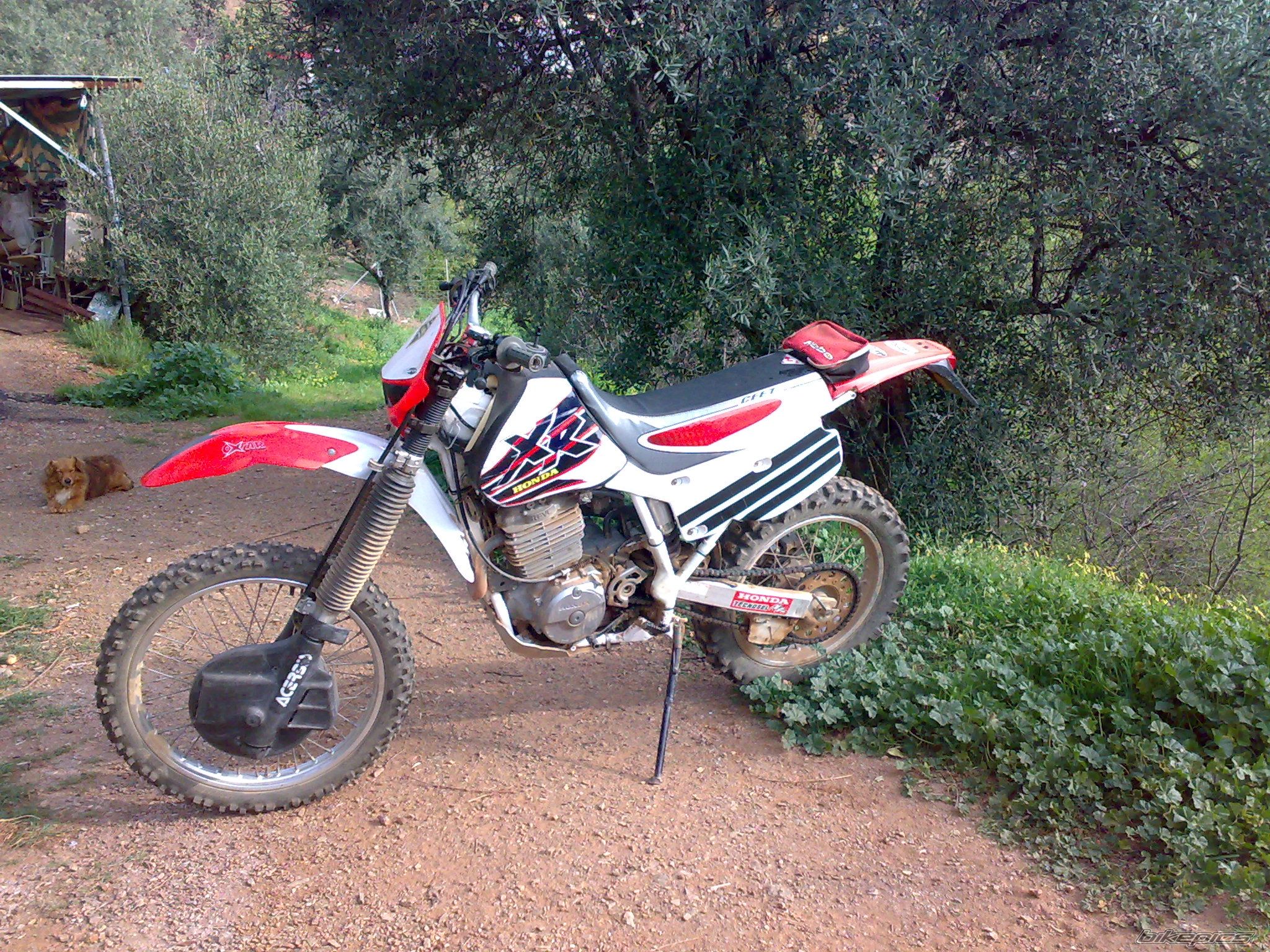 Photo 1579993