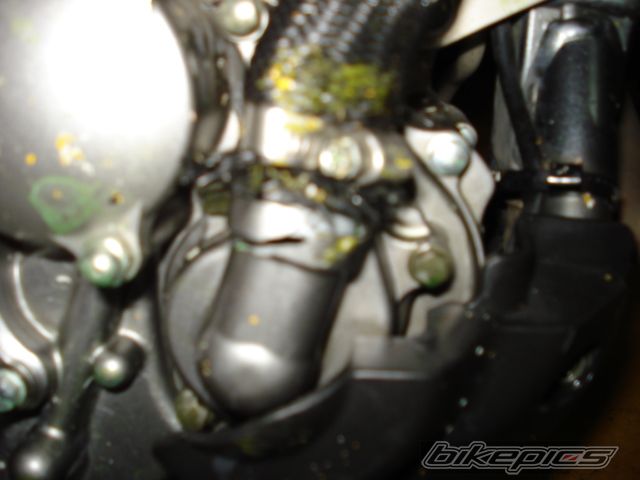 Photo 1580560
