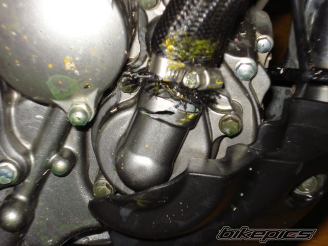 Photo 1580561