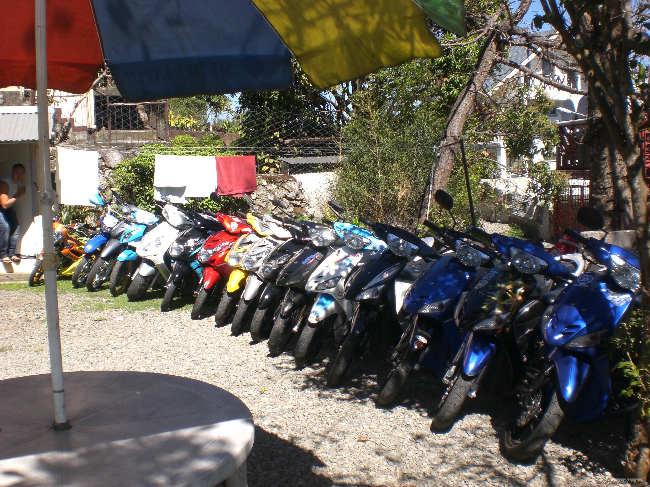 Photo 1580687