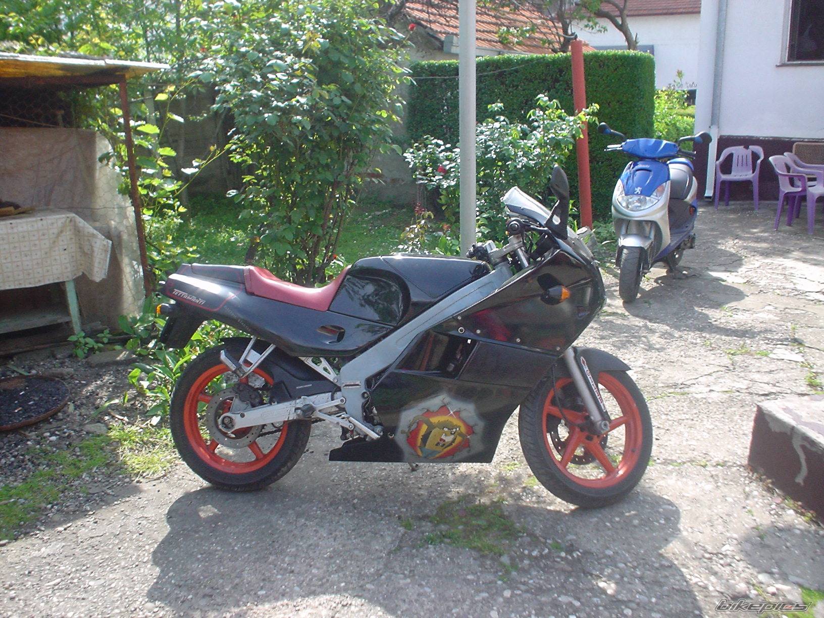 Photo 158075