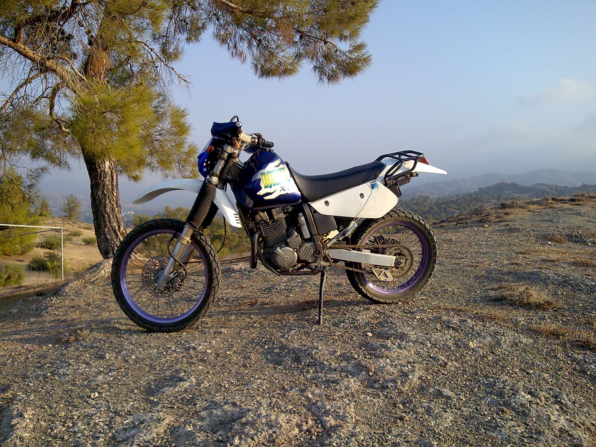 Photo 1580854