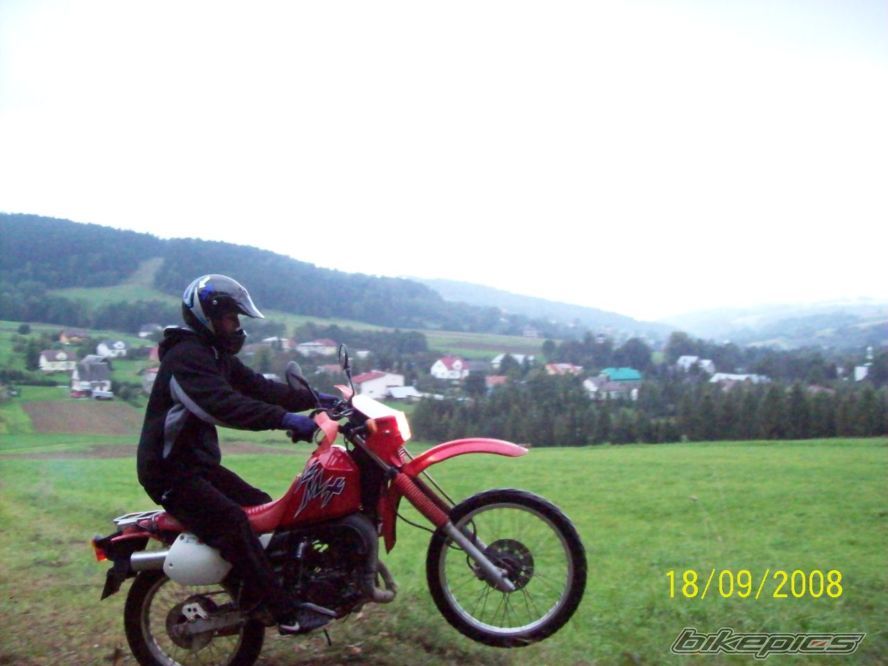 Photo 1581066