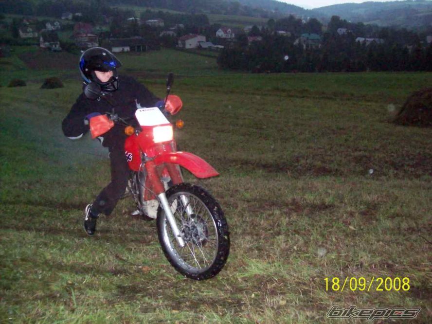 Photo 1581068