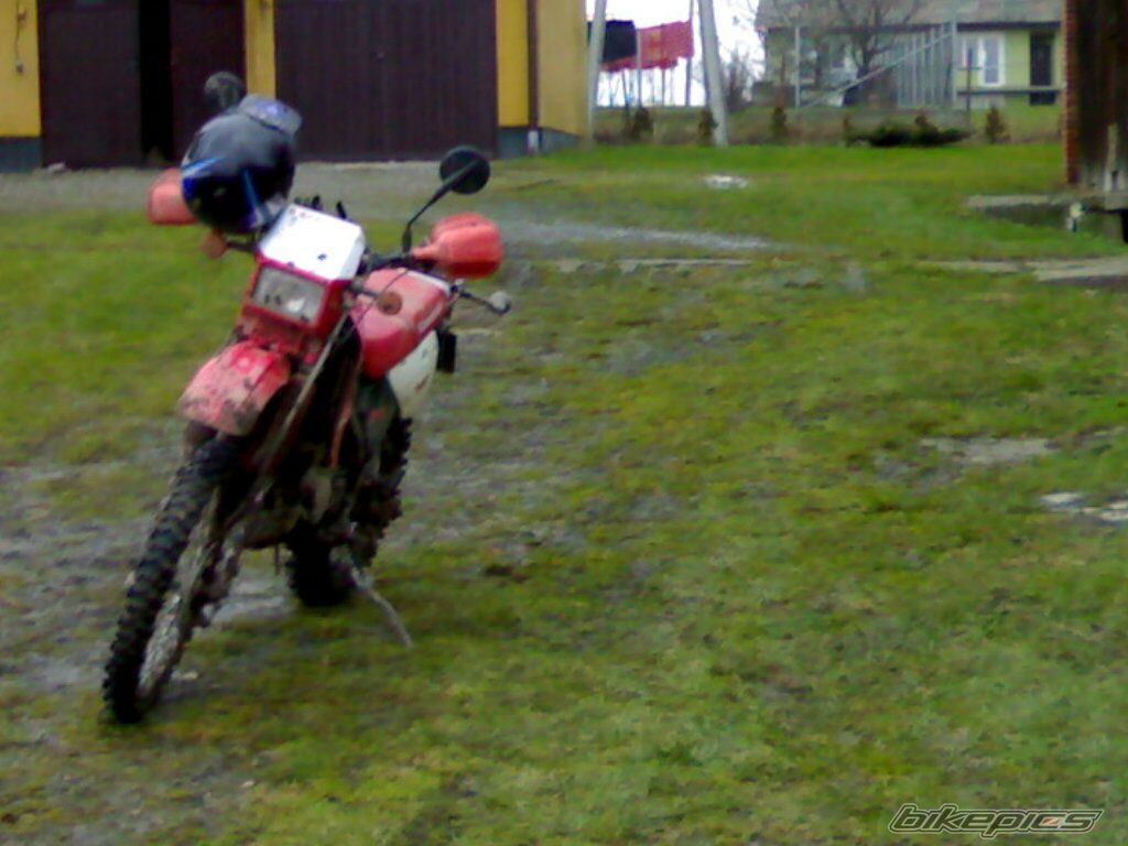 Photo 1581074
